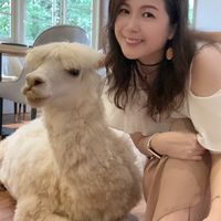 ✨亞忻💫平凡歌手🎤TikTok 直播互動群組