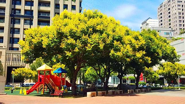 ▲圖片來源：台中市政府