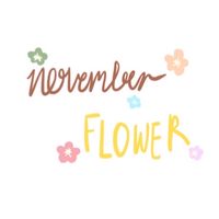 November.sflower𓂃 𓈒𓏸