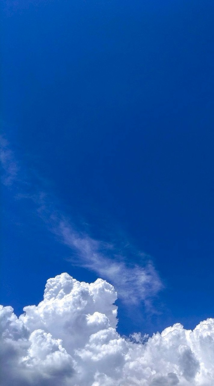 全て賭けたあの夏〈学パロ全夢ハント〉