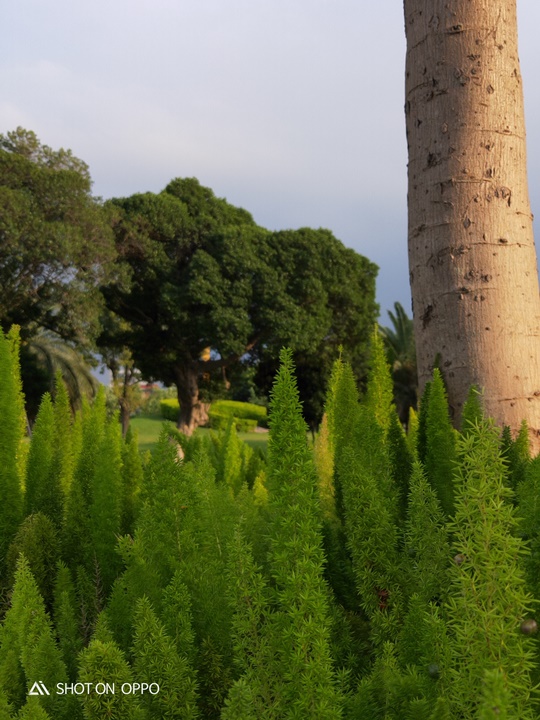 OPPO R17 開箱動手玩，跑分、拍照、續航力表現全都測