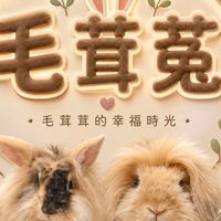 宜蘭毛茸菟🐰