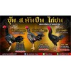 ซุ้ม ส.พันปืน ไก่ชน