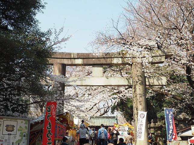 上野恩賜公園賞櫻女子旅之私景推薦 東照宮參道上的櫻花屋台 Japankuru日本酷樂 Line Today