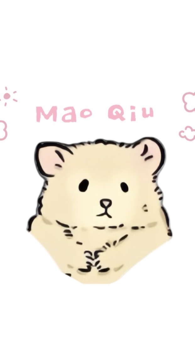 毛球小店🫧🫧