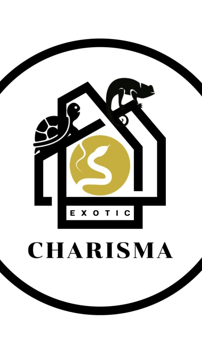 Charisma Excotic 🦎🐍