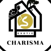 Charisma Excotic 🦎🐍