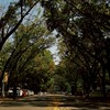 中興大學115新生群