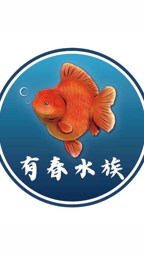 有春水族工作室