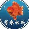 有春水族工作室