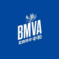 藍鵲排球館
