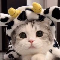 ♡•คนรักแมว•[Meow]♡