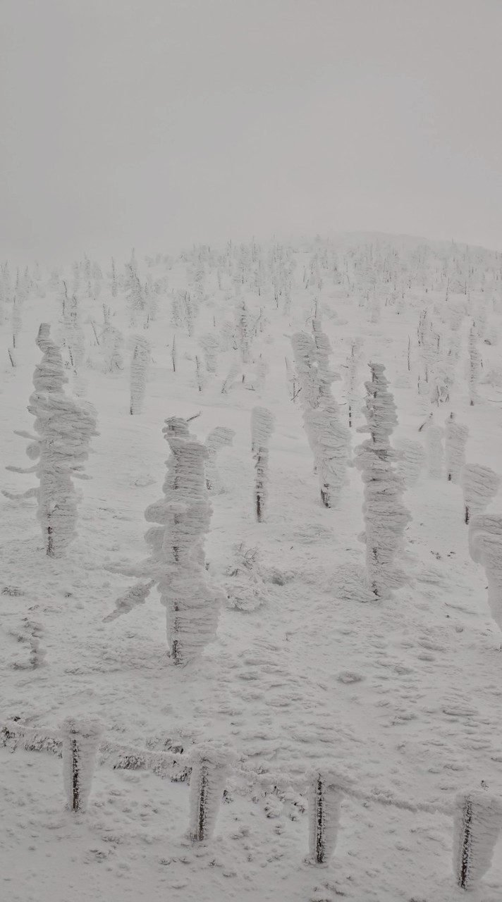 1/26-1/31日本東北精緻假期