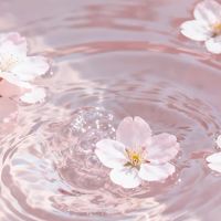 全也♡花も枯れるでしょ？