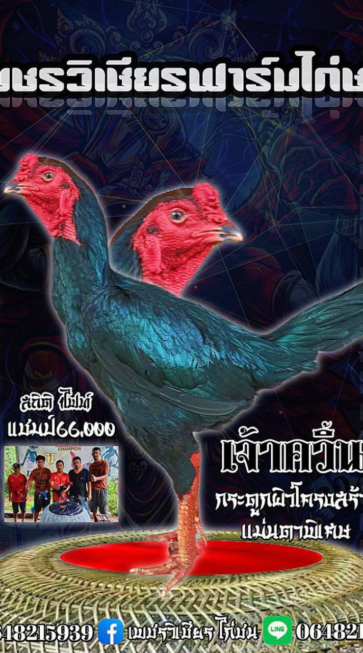 เพชรวิเชียรฟาร์ม