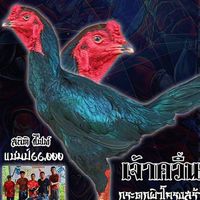 เพชรวิเชียรฟาร์ม