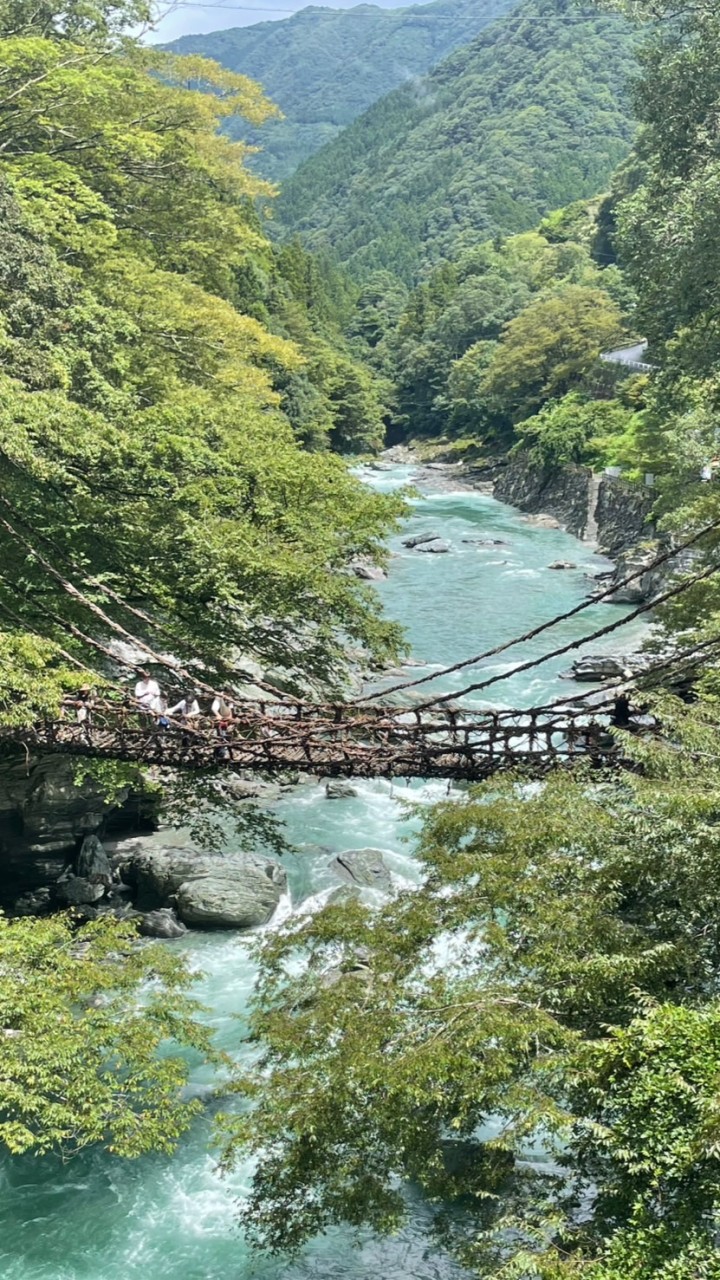 ［20代］徳島県若者バイク乗り