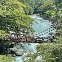 ［20代］徳島県若者バイク乗り