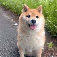 ちょっこっと休暇🐕🌸