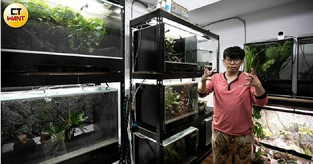 【青蛙爸爸3】晶瑩剔透一隻5萬元　藍色「玻璃蛙」身價高