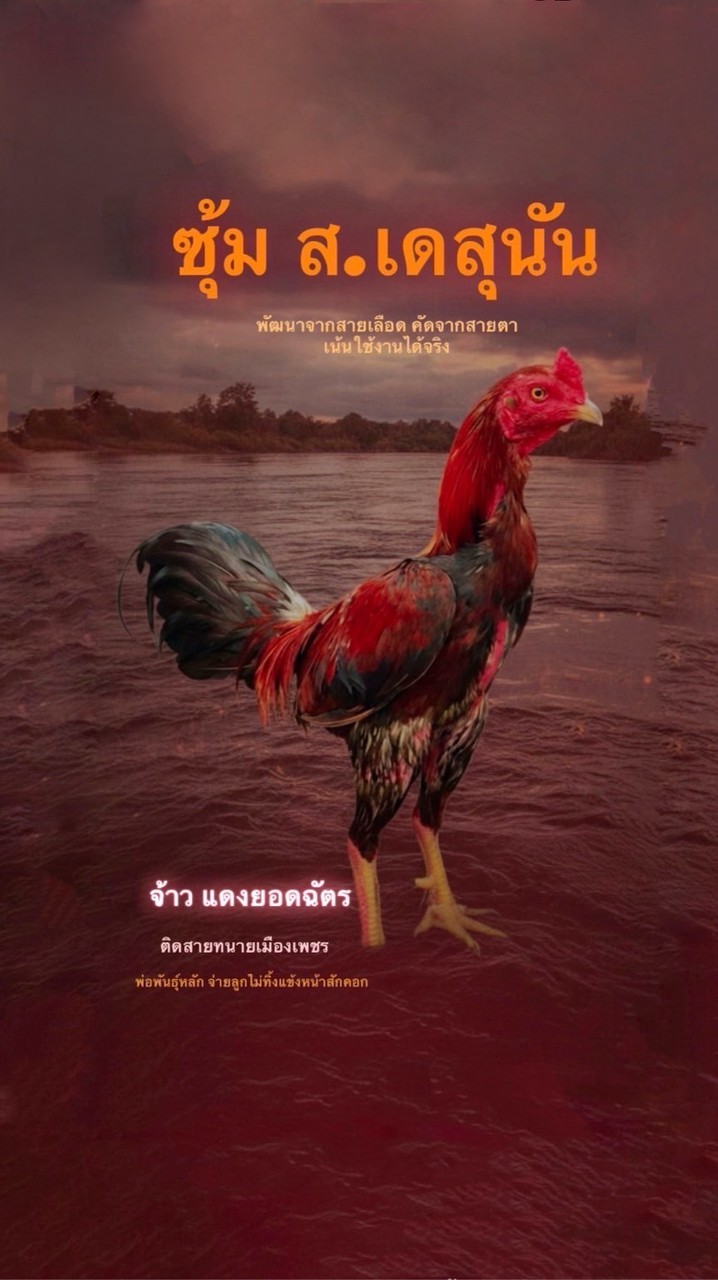 ส.เดสุนัน ฟาร์ม