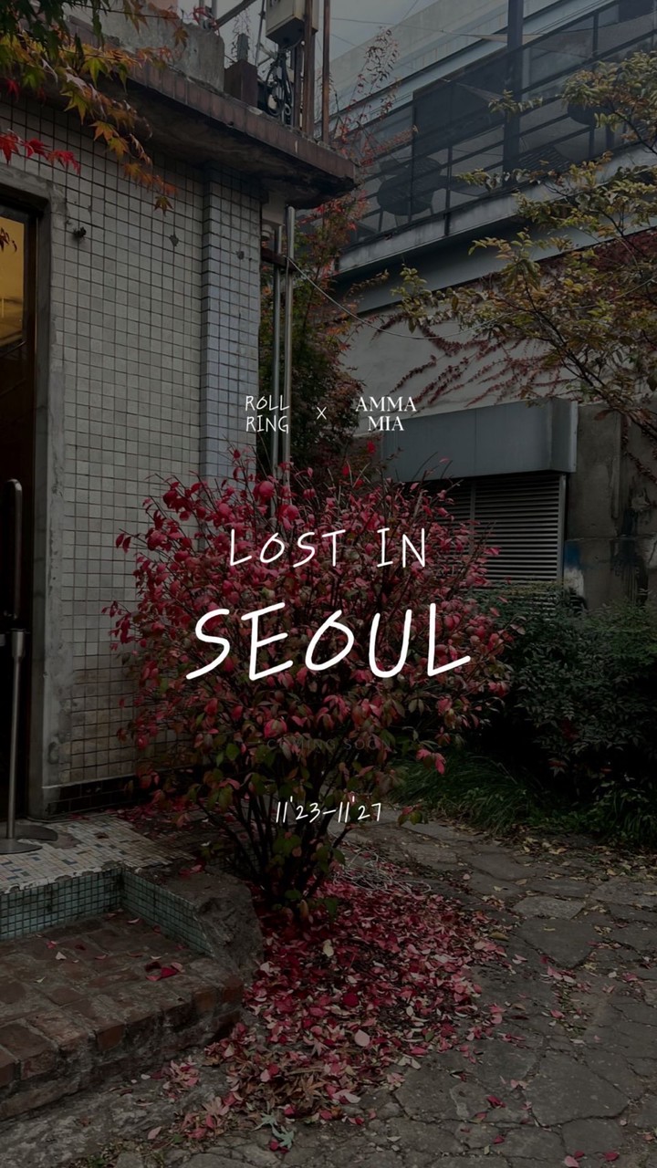 Roll點什麼₊ 𓎩 ₊