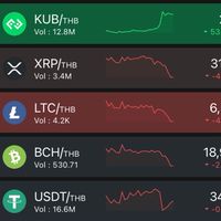 Bitkub market