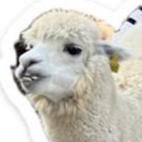 築夢客棧