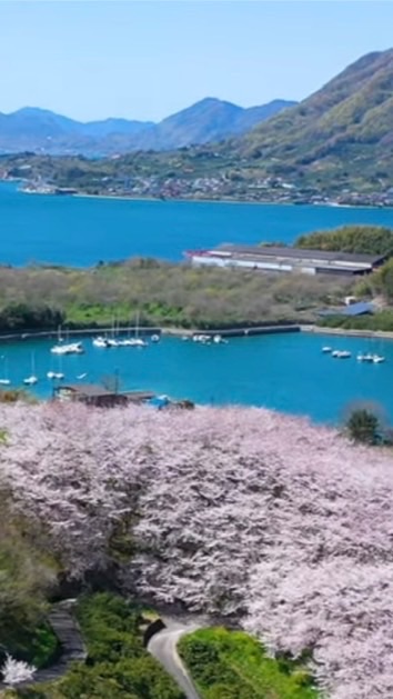 発見🌈佐木島　癒しと情熱の島🏝️