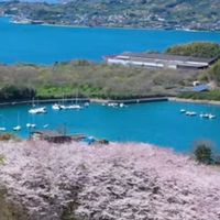発見🌈佐木島　癒しと情熱の島🏝️
