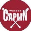 早稲田大学キャップ野球サークル キャップリン 2026新歓LINE