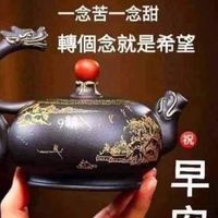 ETF存股 00891 0050 0052 00690 00984 野村優質基金 野村台灣高股息