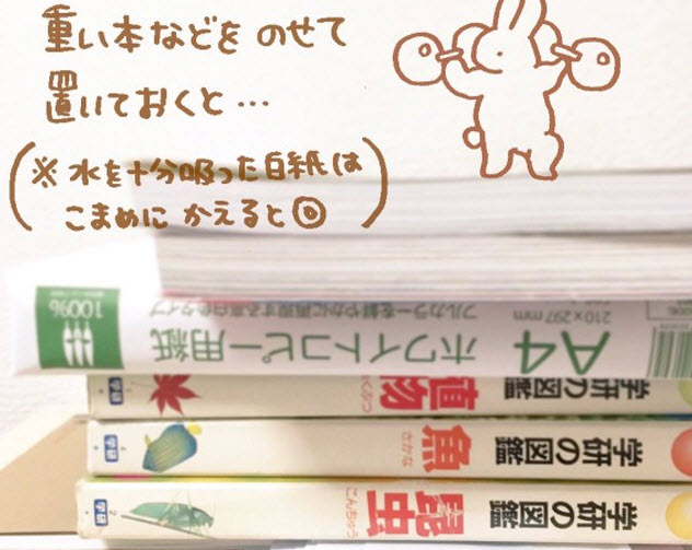 書本