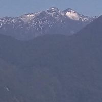 羅宋家族
