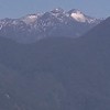 羅宋家族