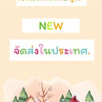 จัดส่งในประเทศ