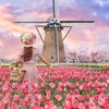 📱web key 勉強会青木zoomメンバー