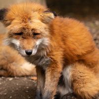いつめん！仲良しグループ2