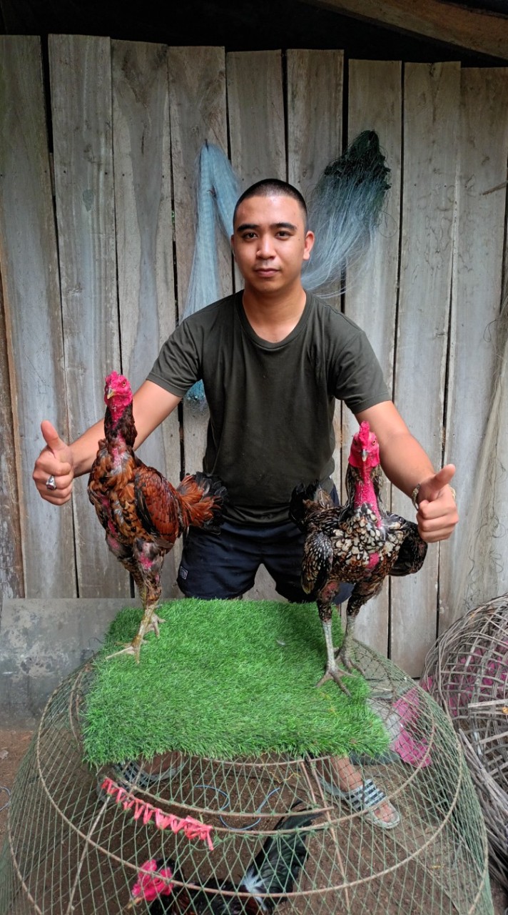 ซุ้มจากป่าสู่เมือง