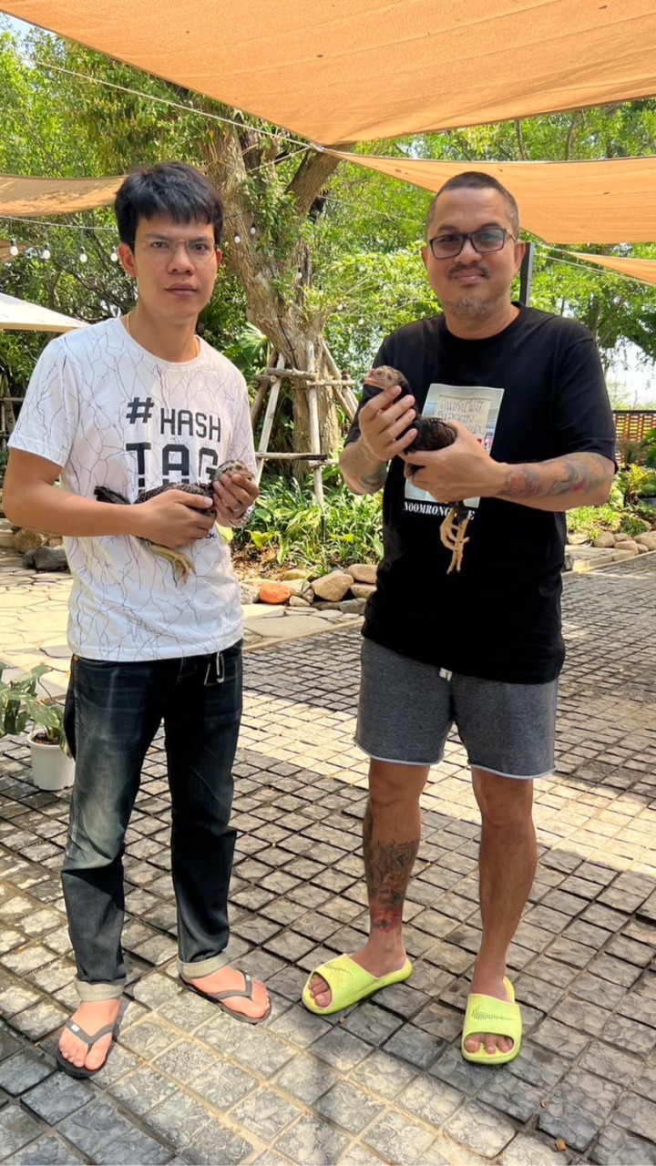 วิยะดาฟาร์ม