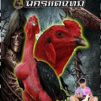 นครแดงทีม เจ้าวาซาบิ
