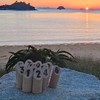 愛媛県でモルックやるけん