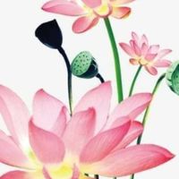 好飾、吉飾