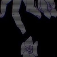 HQ緩 ︎┊︎ や ん で れ ら 。