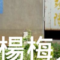 我是楊梅人