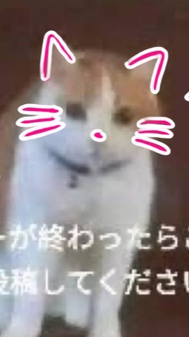 ナーnrkrについて。ー