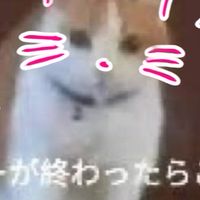 ナーnrkrについて。ー