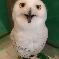 岩手県南ゆっくりまったりBe happy!