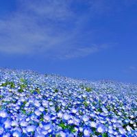 山梨あつまれ🌈20代〜大人の雑談部屋