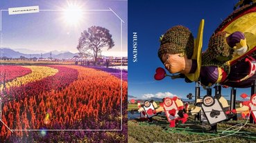 2020新社花海＋台中國際花毯節！紅心皇后搭配七彩花卉，打造愛麗絲的奇幻花境探險